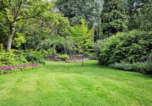 Optimiser l'expérience du jardin à Terrasson-Lavilledieu